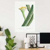  Cactus/Succulent Illustratie Poster (Thuiskantoor)