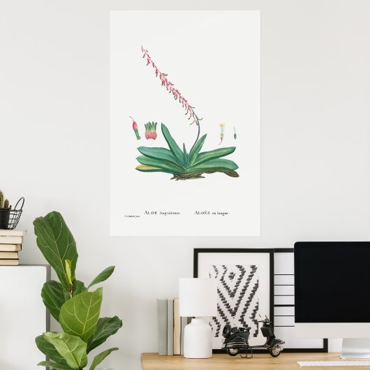  Cactus/Succulent Illustratie Poster (Thuiskantoor)