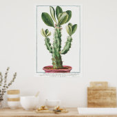  Cactus/Succulent Illustratie Poster (Keuken)