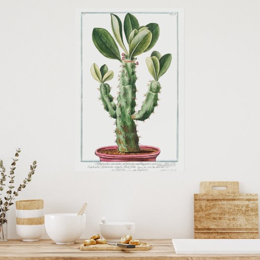  Cactus/Succulent Illustratie Poster (Keuken)