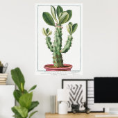  Cactus/Succulent Illustratie Poster (Thuiskantoor)