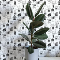 Cactus Succulent Zwart en Wit Kunst