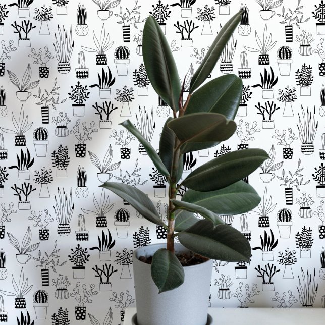 Cactus Succulent Zwart en Wit Kunst Behang (Cactus cacti succulent house plant black and white art wallpaper)