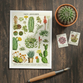 Cactus Succulenten Botanische Illustratie Ansichtk Briefkaart