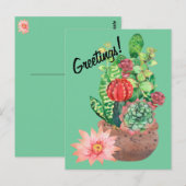 Cactus, Succulenten, Cactus Flower, Arrangement Briefkaart (Voorkant / Achterkant)
