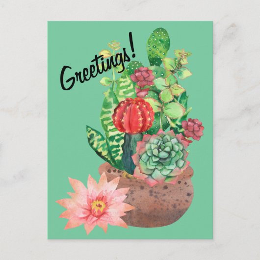 Cactus, Succulenten, Cactus Flower, Arrangement Briefkaart (Voorkant)