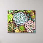 Cactus Succulenten canvas print (Voorkant)
