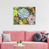 Cactus Succulenten canvas print (Insitu (Woonkamer))