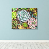 Cactus Succulenten canvas print (Insitu (Houten vloer))