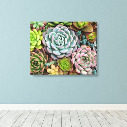 Cactus Succulenten canvas print (Insitu (Houten vloer))