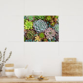 Cactus Succulenten poster (Keuken)