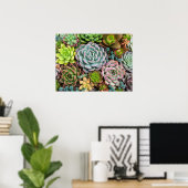 Cactus Succulenten poster (Thuiskantoor)