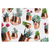 Cactus & Succulents in Roos Gold Pots Groot Cadeauzakje (Voorkant)