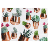 Cactus & Succulents in Roos Gold Pots Groot Cadeauzakje (Achterkant)
