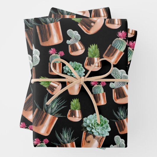 Cactus & Succulents in Roos Gold Pots Inpakpapier Vel (In situ)