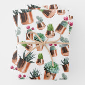 Cactus & Succulents in Roos Gold Pots Inpakpapier Vel (In situ)