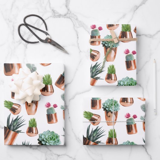 Cactus & Succulents in Roos Gold Pots Inpakpapier Vel (Voorkant)