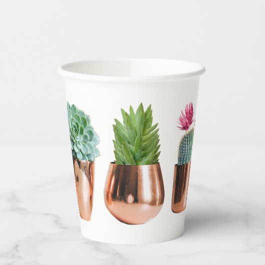 Cactus & Succulents in Roos Gold Pots Papieren Bekers (Links)