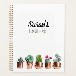 Cactus & Succulents in Roos Gold Pots Planner
