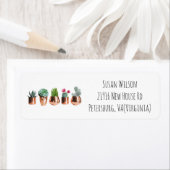 Cactus Succulents in Roos Gold Pots Return Address Etiket (Insitu)