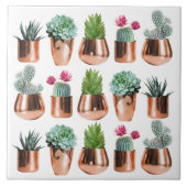 Cactus & Succulents in Roos Gold Pots Tegeltje (Voorkant)