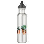 Cactus & Succulents in Roos Gold Pots Waterfles (Links)