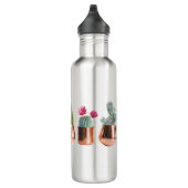 Cactus & Succulents in Roos Gold Pots Waterfles (Rechts)