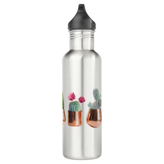 Cactus & Succulents in Roos Gold Pots Waterfles (Rechts)