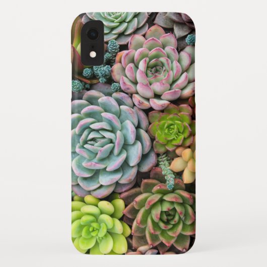 Cactus Succulents phone cases (Achterkant)