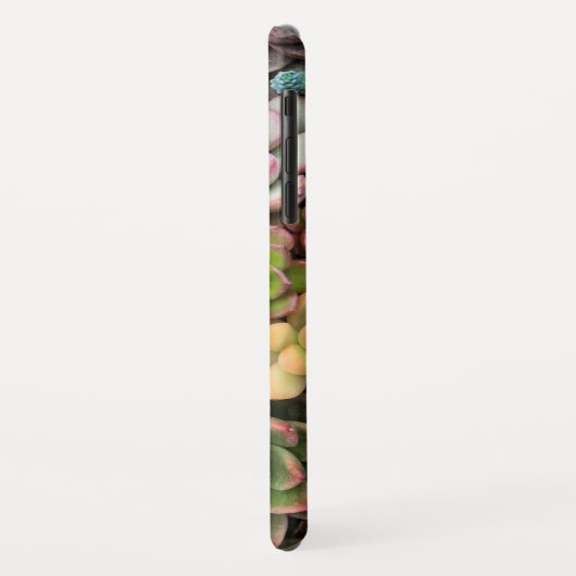Cactus Succulents phone cases (Achterkant/links)