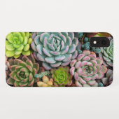 Cactus Succulents phone cases (Achterkant (horizontaal))