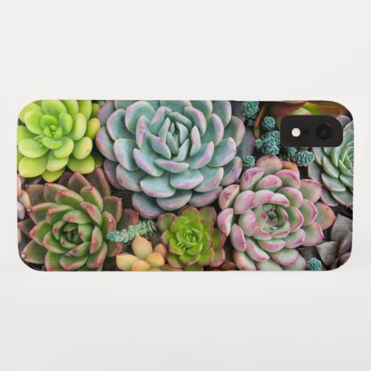 Cactus Succulents phone cases (Achterkant (horizontaal))