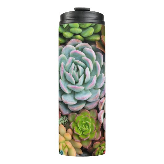 Cactus Succulents tumbler Thermosbeker (Voorkant)