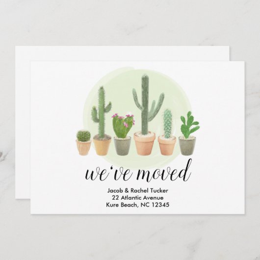 Cactus Succulents We hebben de aankondiging verpla (Voorkant / Achterkant)