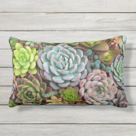 Cactus Succulents werpen kussens