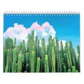 Cactus Summer Kalender (Hoes)
