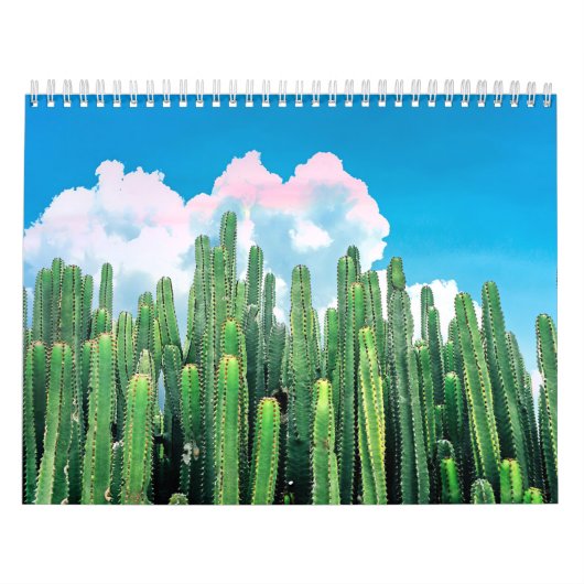 Cactus Summer Kalender (Hoes)