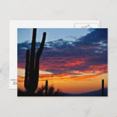 Cactus Sunrise Briefkaart (Voorkant / Achterkant)