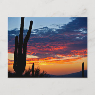 Cactus Sunrise Briefkaart