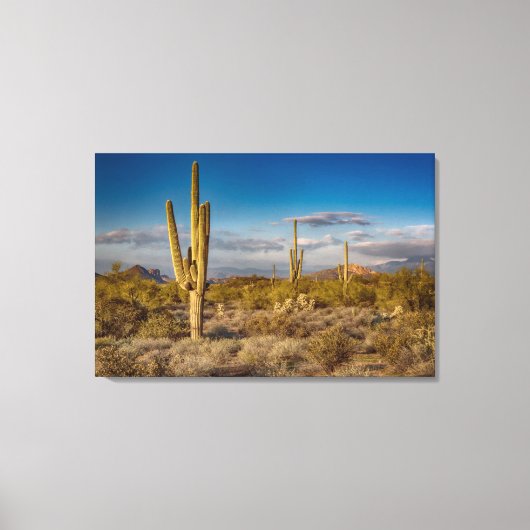 Cactus Sunset in Arizona Canvas Afdruk (Voorkant)