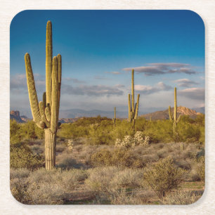 Cactus Sunset in Arizona Kartonnen Onderzetters