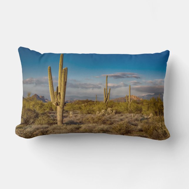 Cactus Sunset in Arizona Kussen (Voorkant)