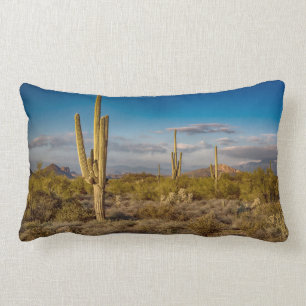 Cactus Sunset in Arizona Kussen