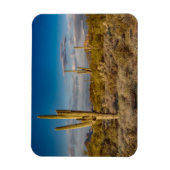 Cactus Sunset in Arizona Magneet (Verticaal)