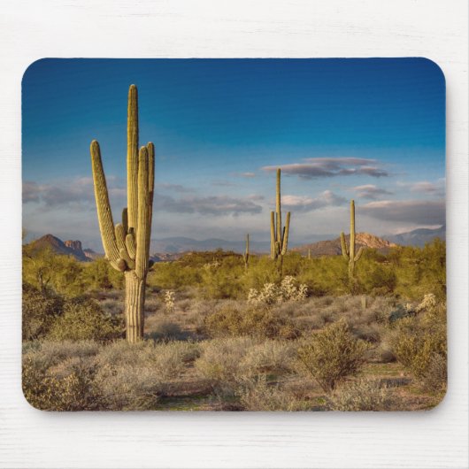 Cactus Sunset in Arizona Muismat (Voorkant)