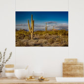 Cactus Sunset in Arizona Poster (Keuken)