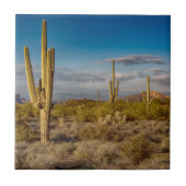 Cactus Sunset in Arizona Tegeltje (Voorkant)