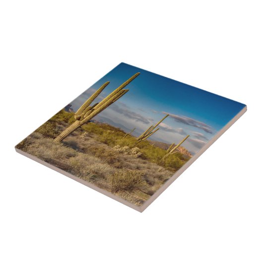 Cactus Sunset in Arizona Tegeltje (Zijkant)