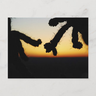 Cactus Sunset - Oranje Briefkaart