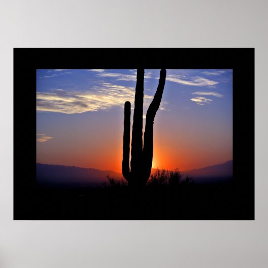 Cactus Sunset Poster (Voorkant)